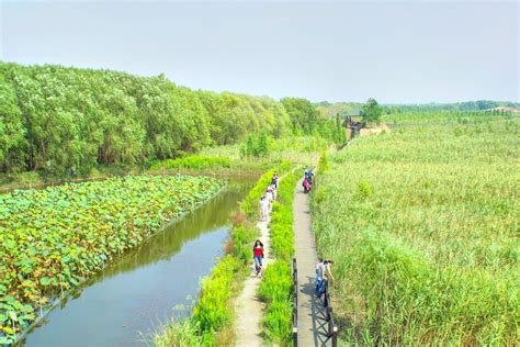  崇明島 壮大な自然と歴史が織りなす楽園！