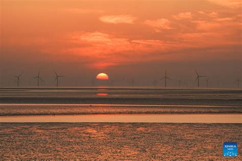  大塩湿地！広大な自然と貴重な鳥類が織りなす絶景！